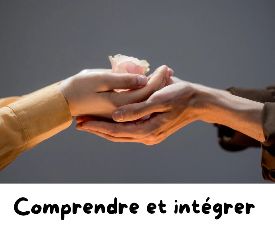 categorie 1
