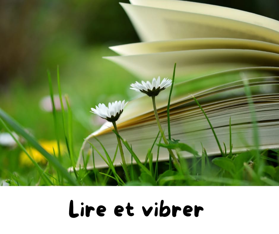 categorie 2