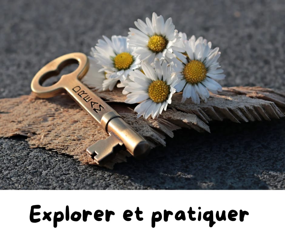 categorie 3